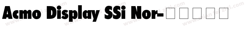 Acmo Display SSi Nor字体转换